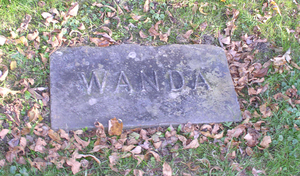 Wanda [Augusta]  [Behr]