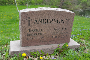 David L. Anderson