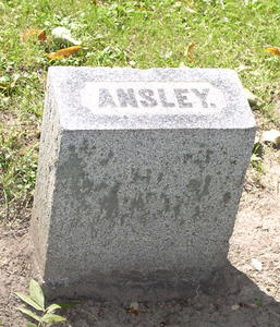Ansley [Gray]